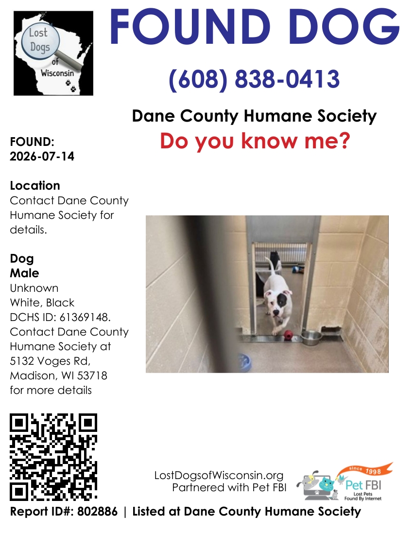Dog reported found or sighted in Madison, WI