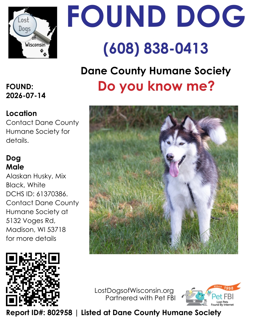 Dog reported found or sighted in Madison, WI