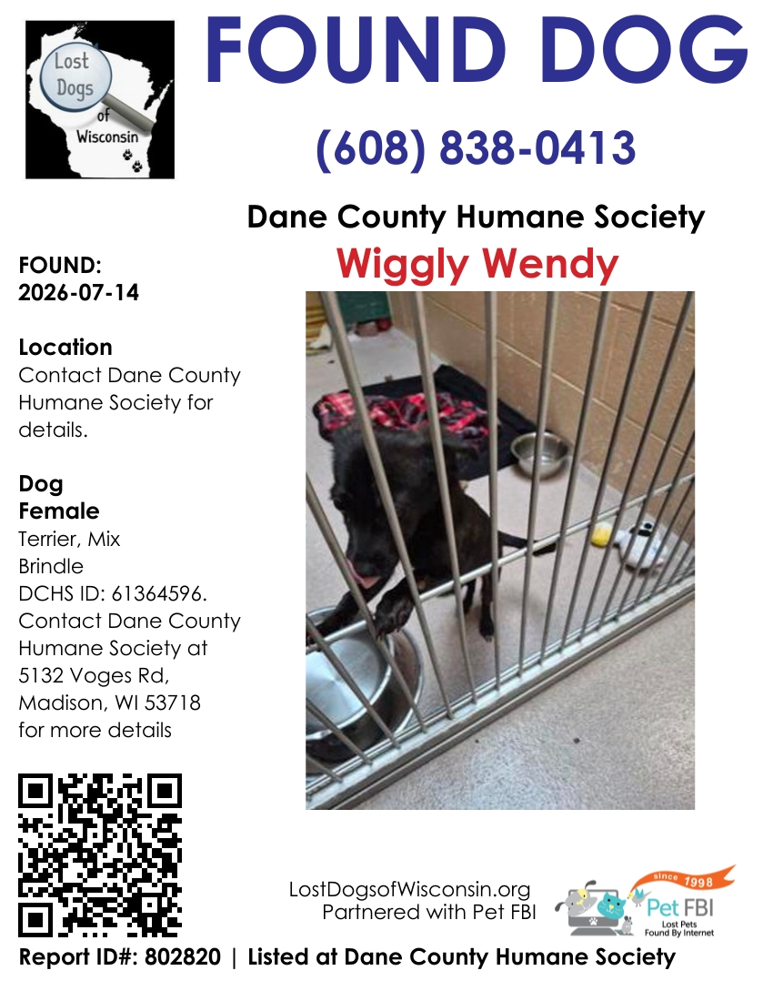 Dog reported found or sighted in Madison, WI
