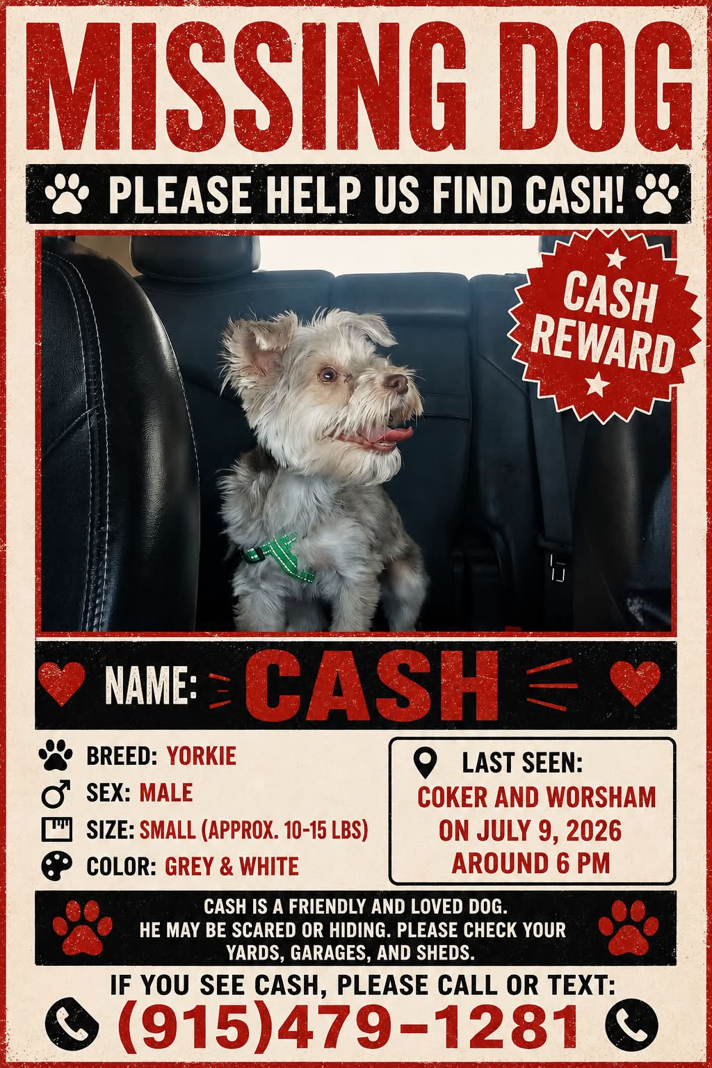 Dog reported missing in El Paso, TX