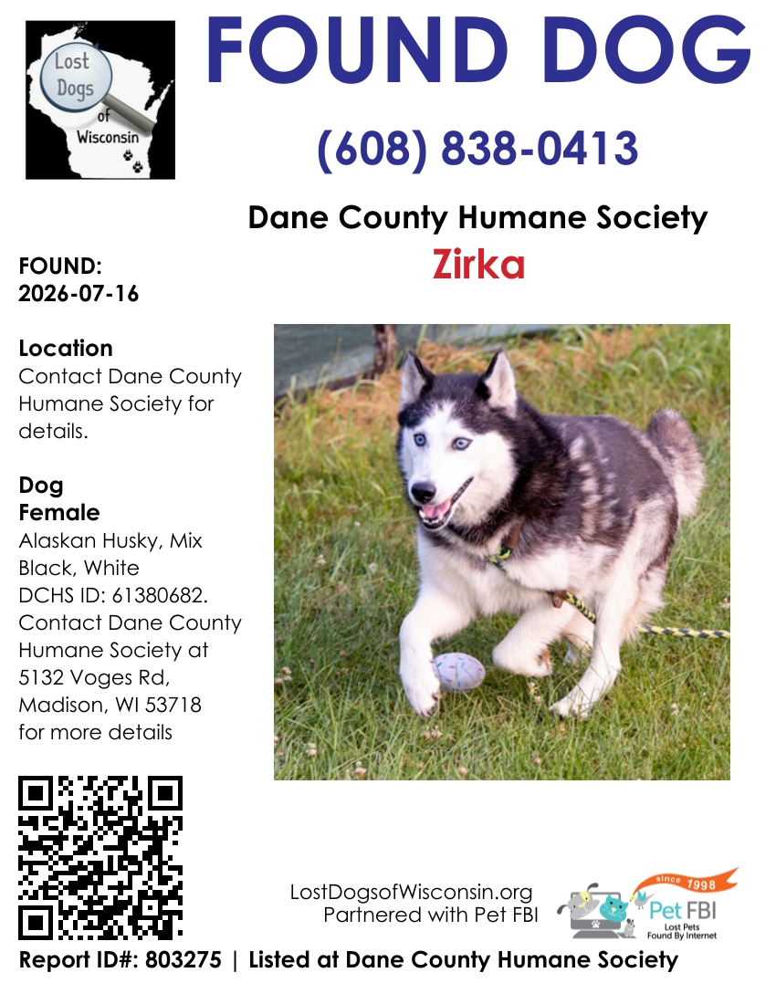 Dog reported found or sighted in Madison, WI
