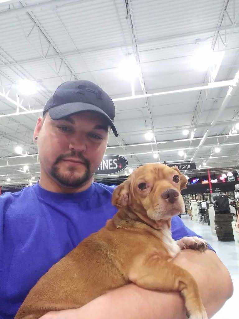 Dog reported found or sighted in Corpus Christi, TX