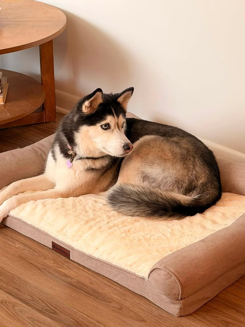 Oreo reported found or sighted in Atlanta, GA