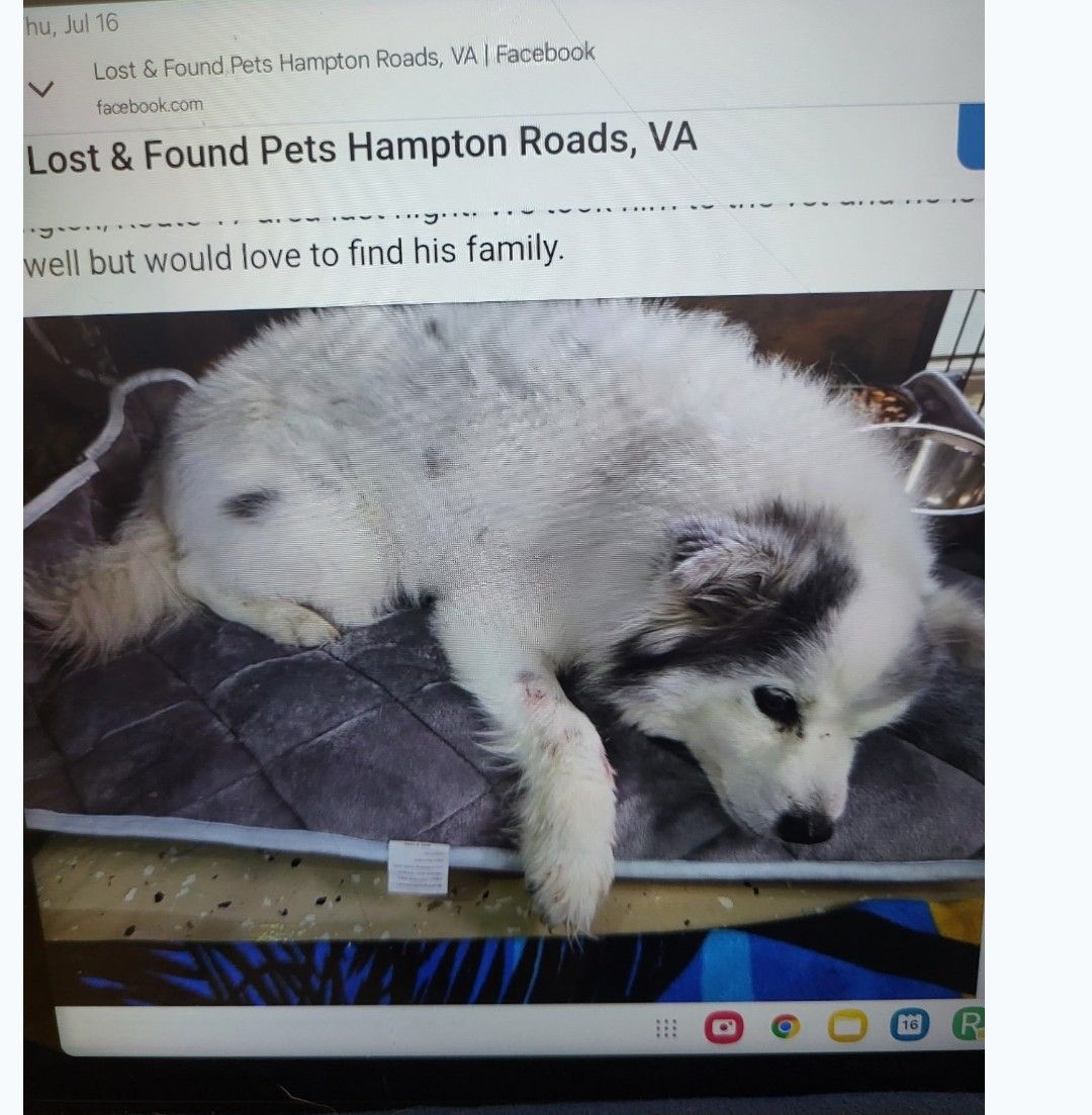 of reported found or sighted in Chesapeake, VA