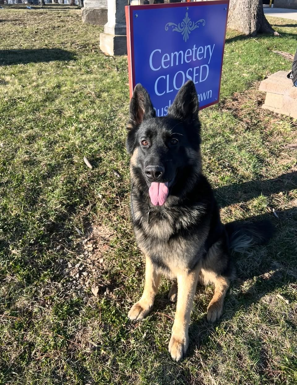 Tobi reported missing in Milwaukee, WI