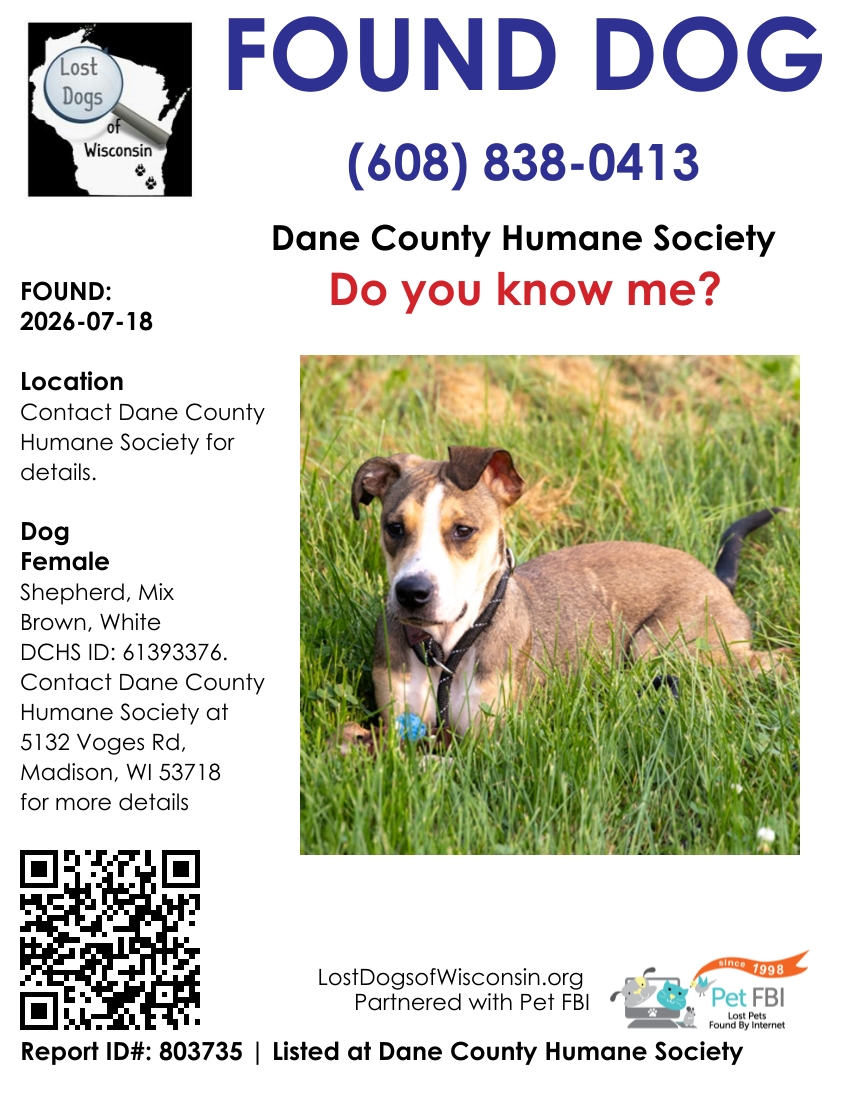Dog reported found or sighted in Madison, WI