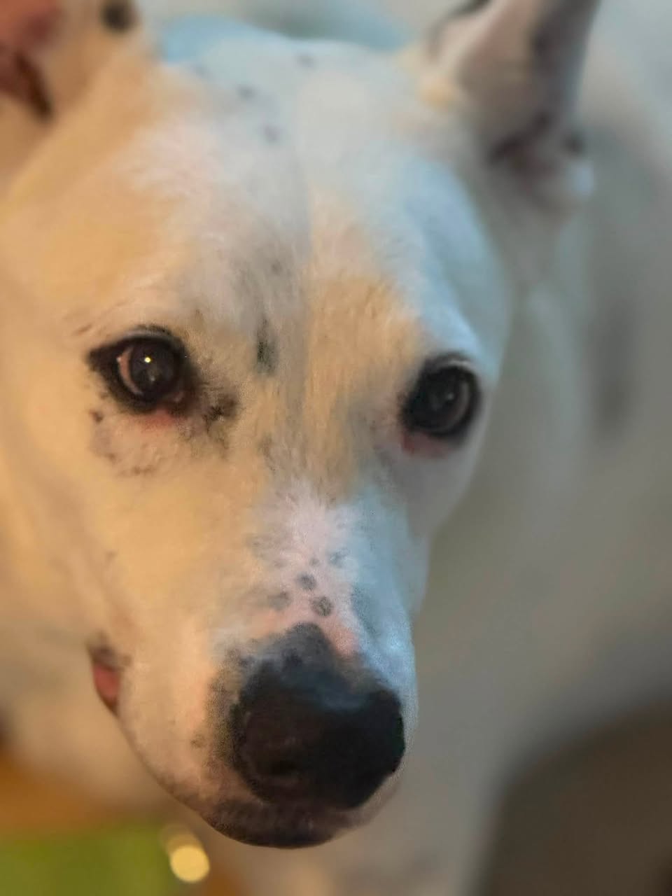 Marshall reported missing in Tucson, AZ