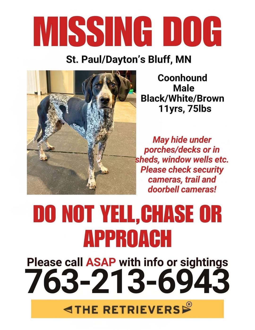 Dog reported missing in Saint Paul, MN