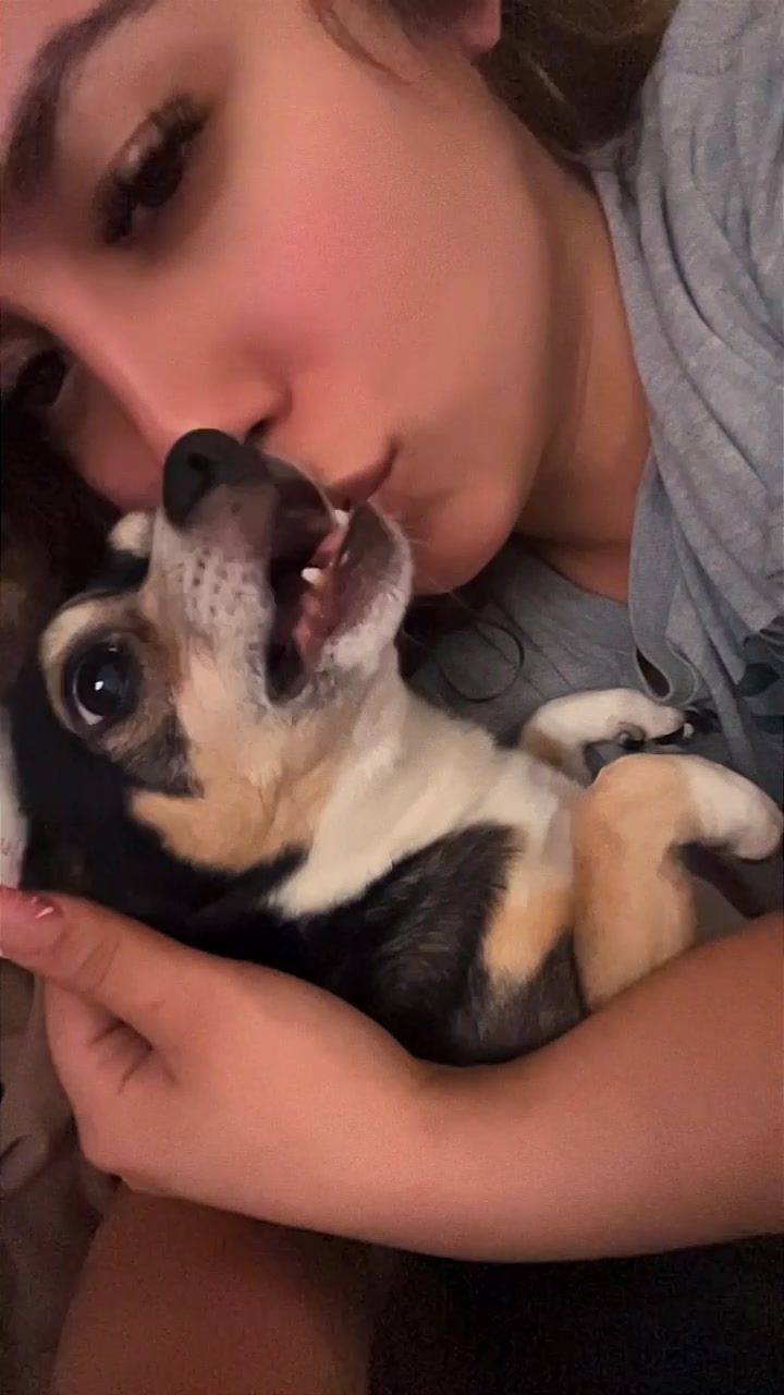 Sparky reported missing in Tucson, AZ