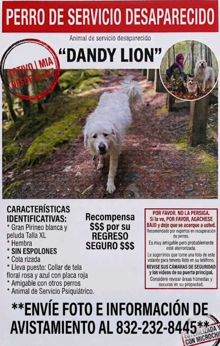 Dog reported missing in Houston, TX