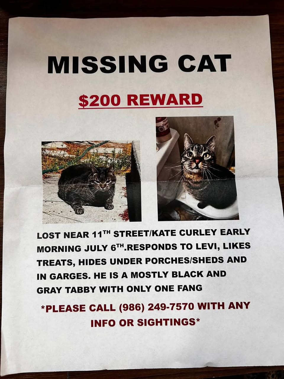 Dog reported missing in Boise, ID