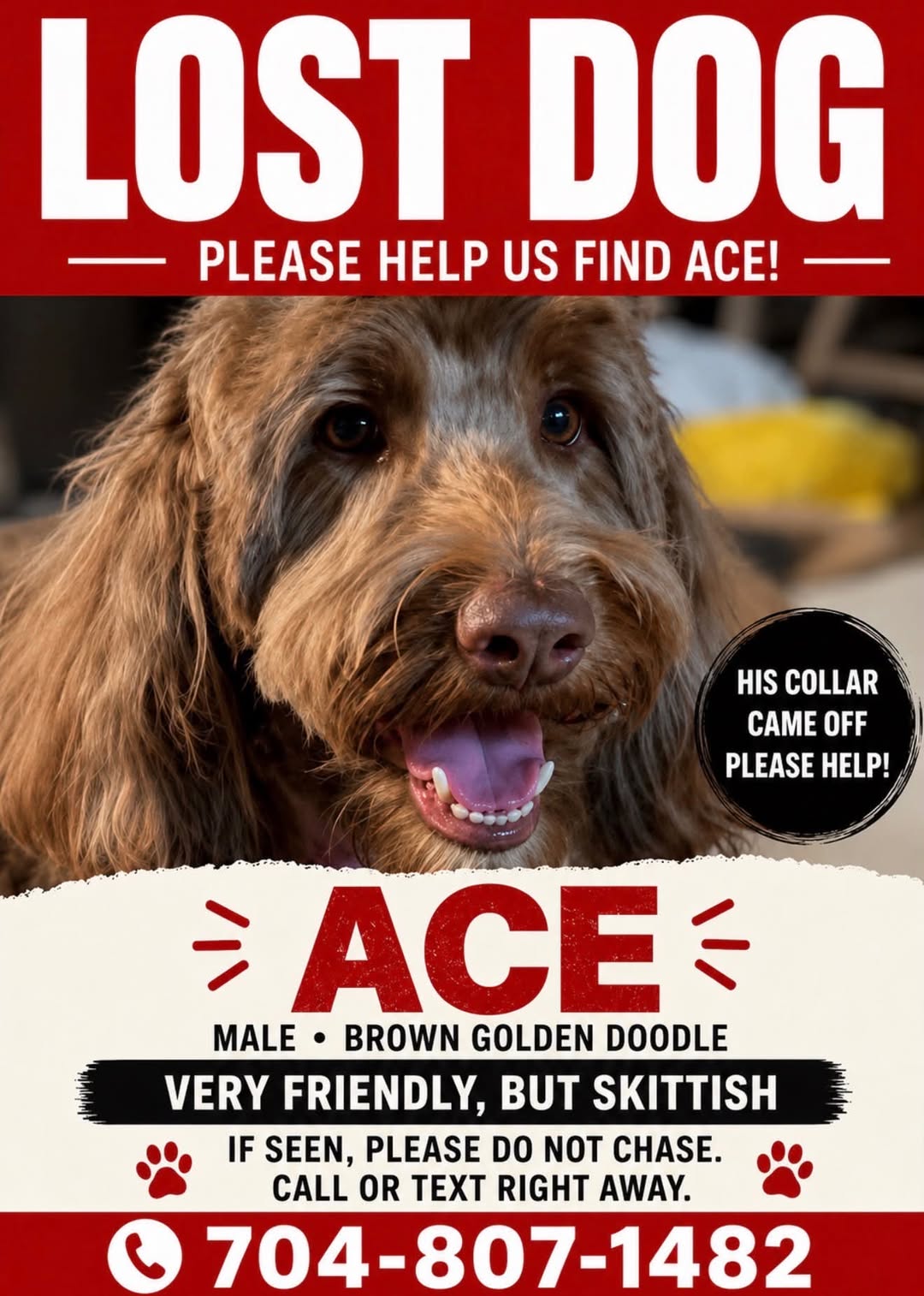 Ace reported missing in Charlotte, NC