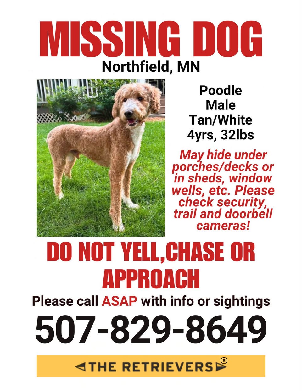 Dog reported missing in Saint Paul, MN