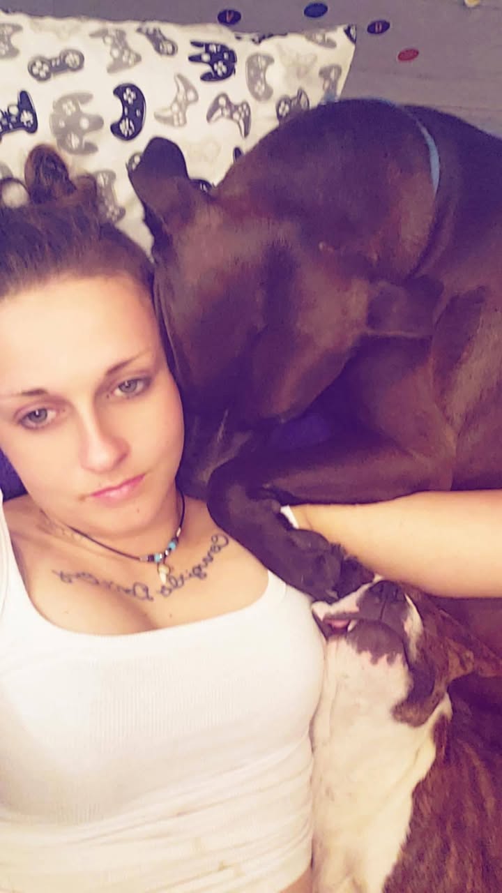 Dog reported missing in Sacramento, CA