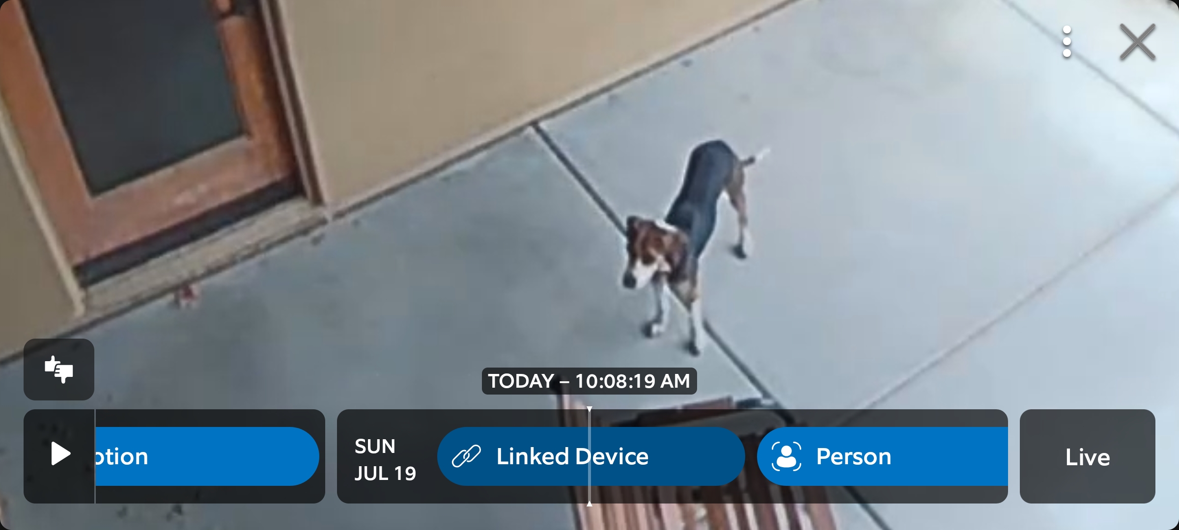 Dog reported missing in Scottsdale, AZ