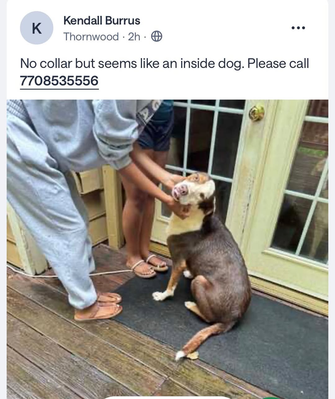 Dog reported found or sighted in Atlanta, GA