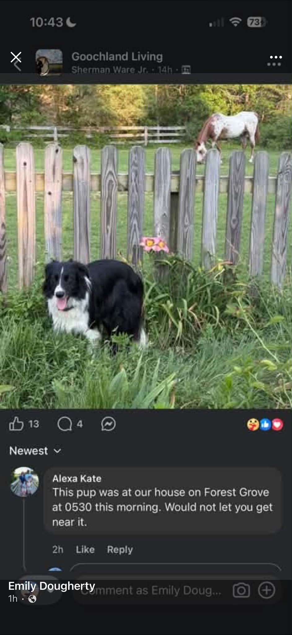Josie reported missing in Virginia Beach, VA