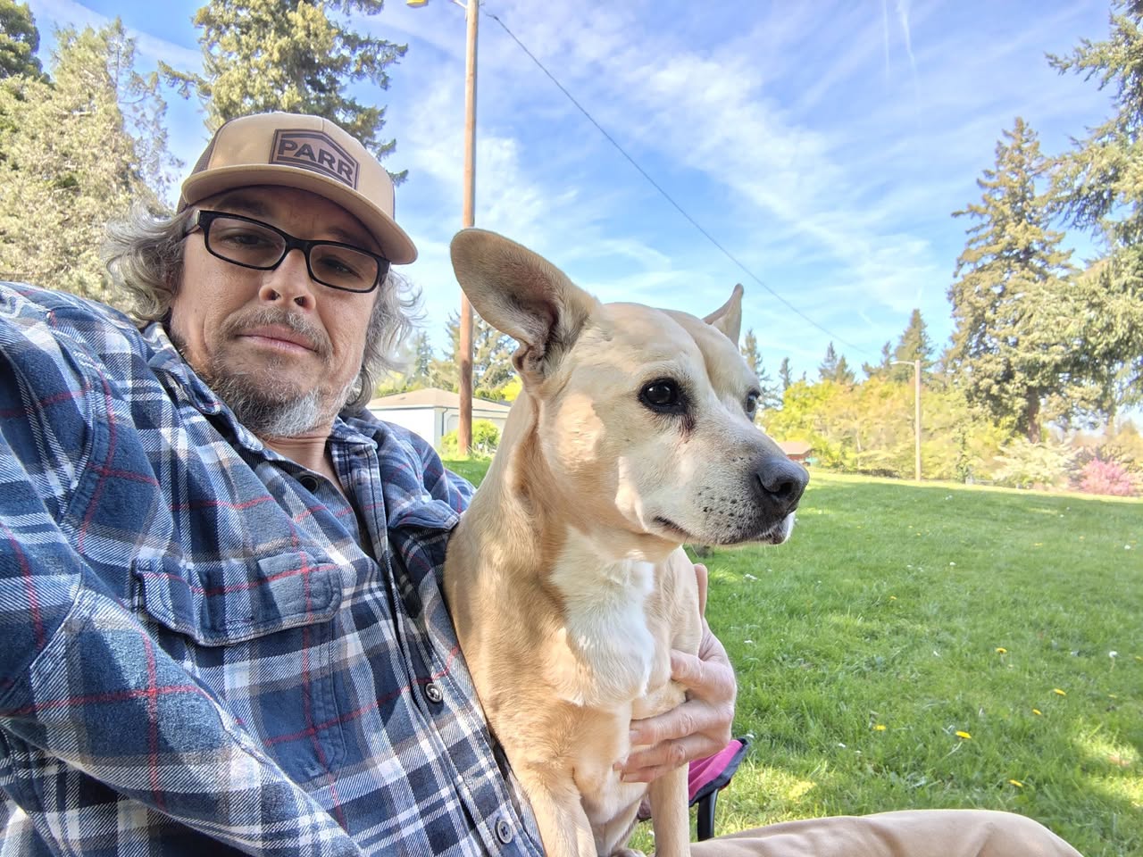 Joe reported found or sighted in Portland, OR