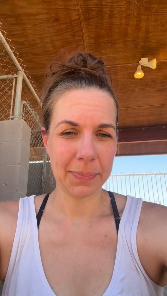 Dog reported missing in Mesa, AZ